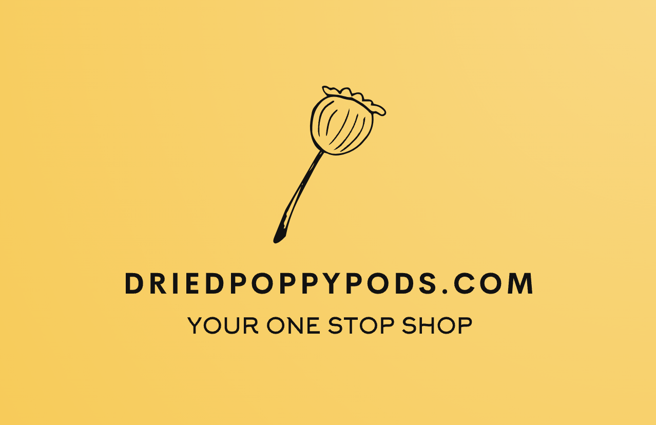 Dried Poppy Pods